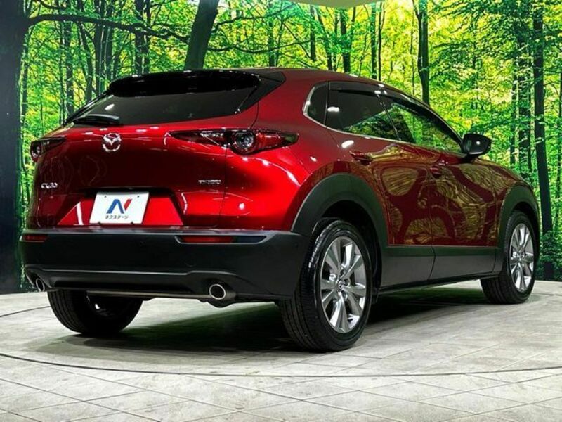 CX-30