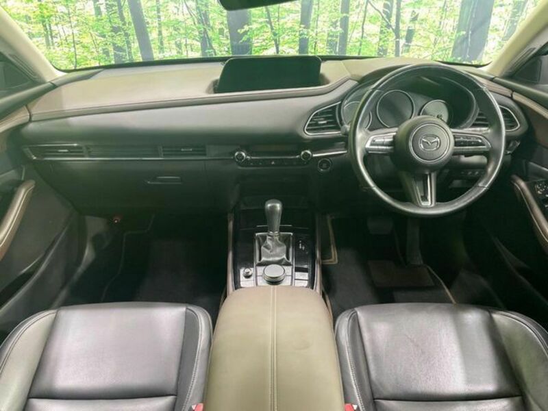 CX-30