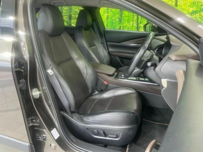 CX-30