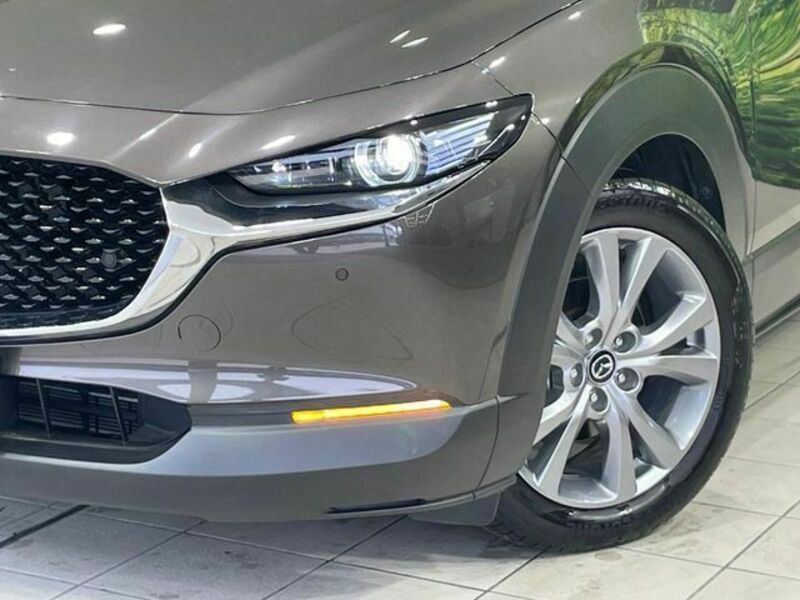 CX-30