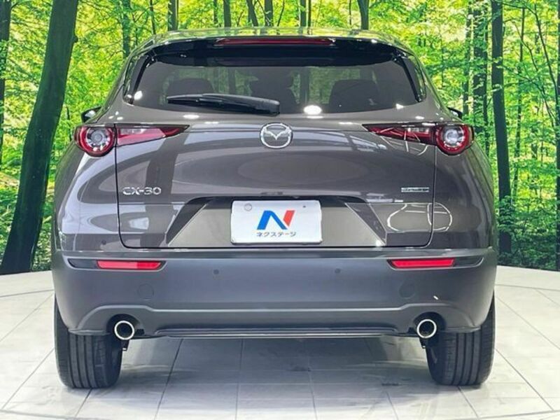CX-30