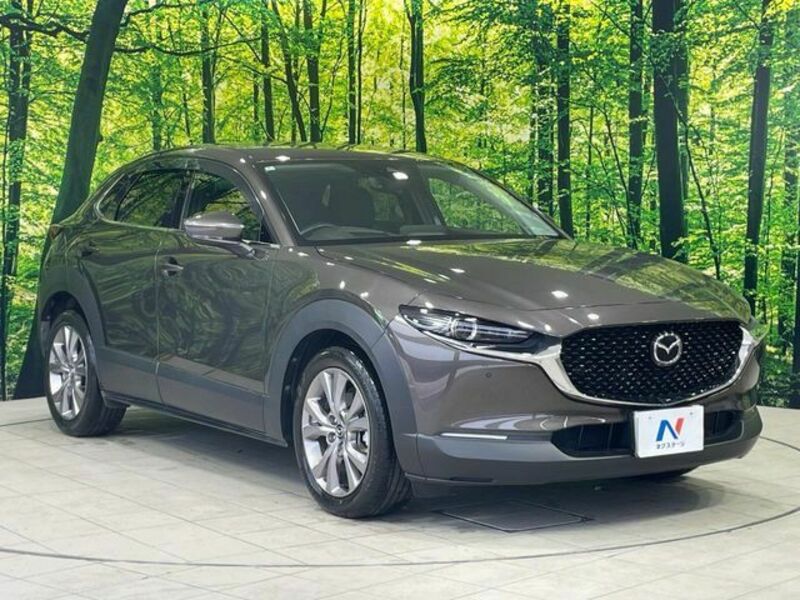 CX-30