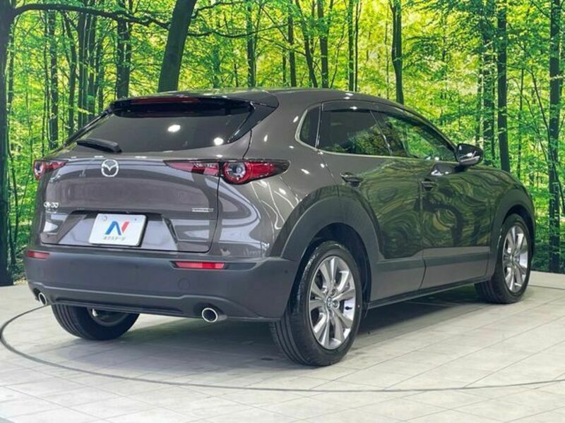 CX-30