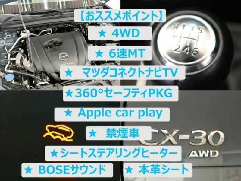 CX-30