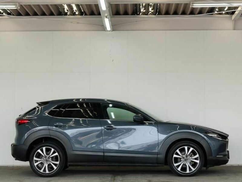 CX-30
