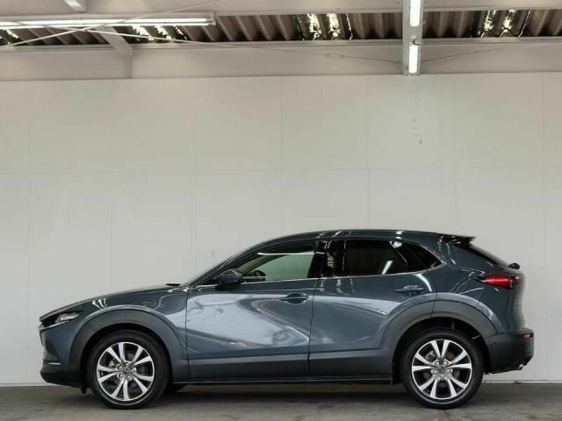CX-30