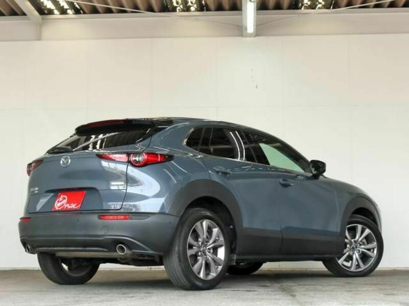 CX-30