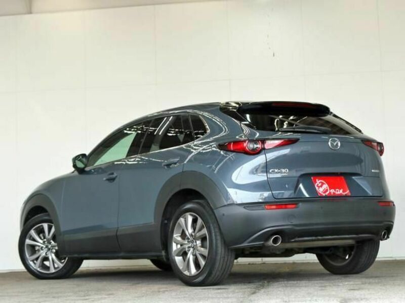 CX-30