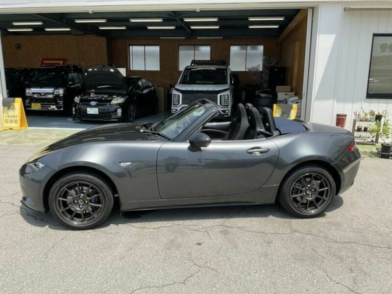 ROADSTER
