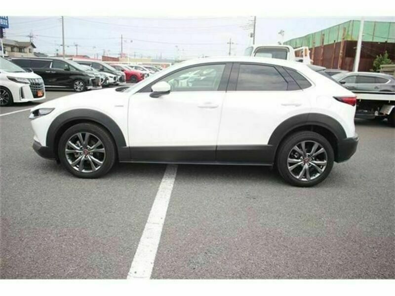 CX-30