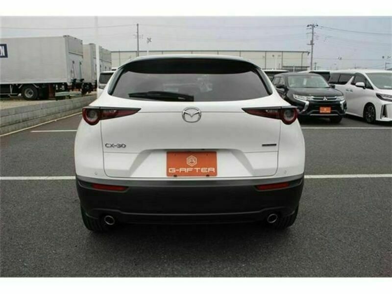 CX-30