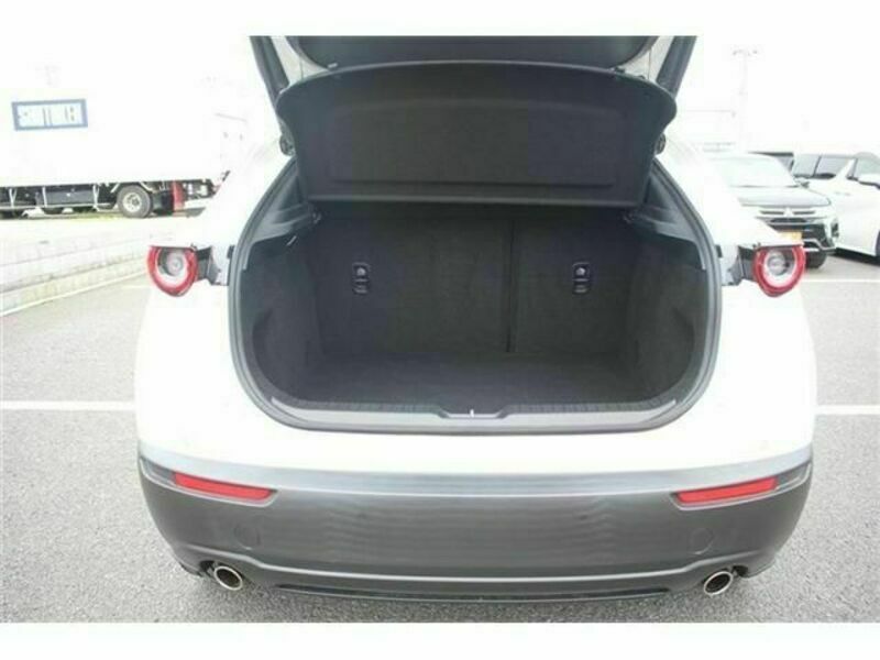 CX-30