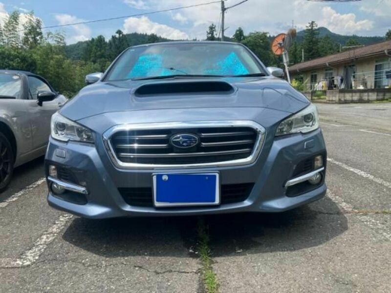 LEVORG