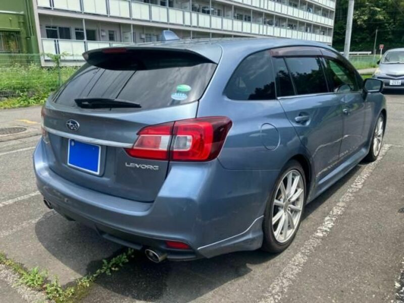 LEVORG