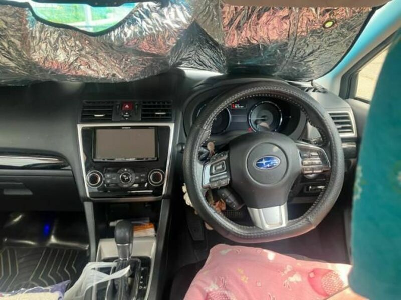 LEVORG