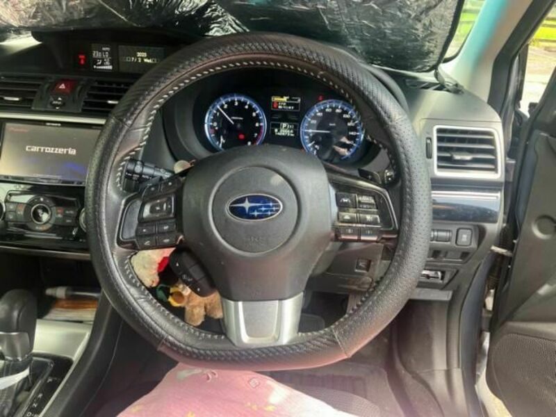 LEVORG