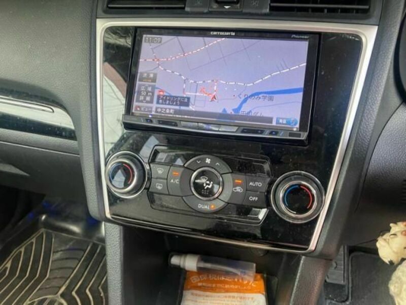 LEVORG