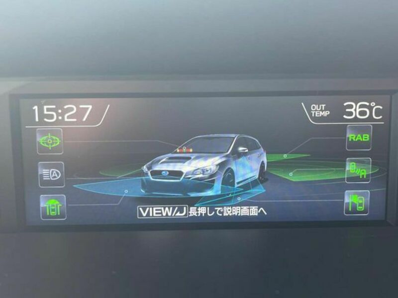 LEVORG