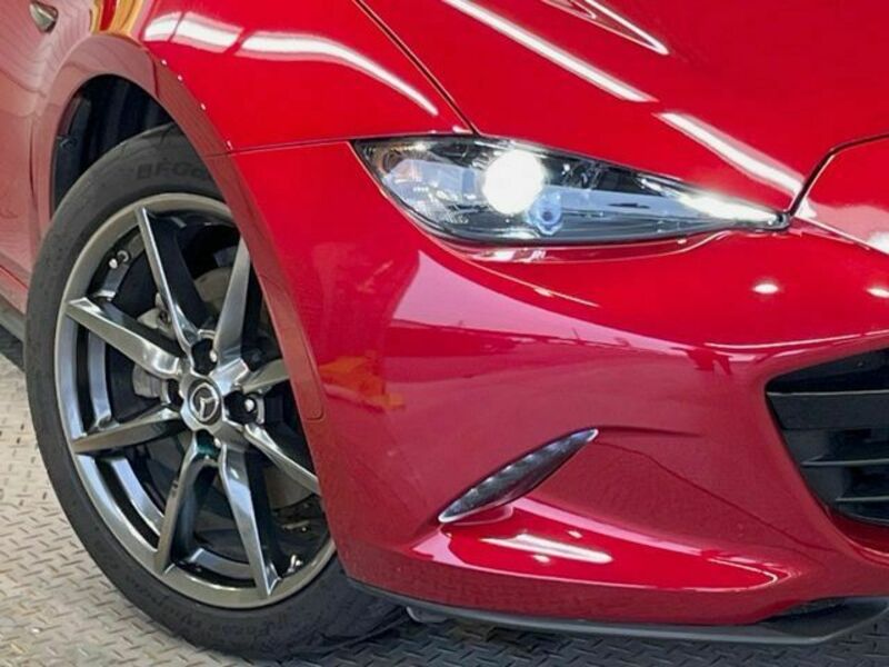 ROADSTER RF