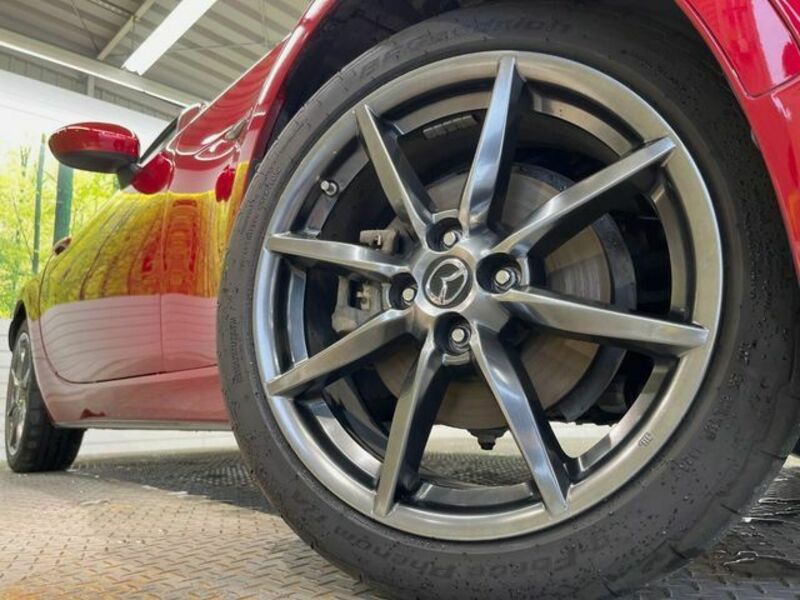 ROADSTER RF