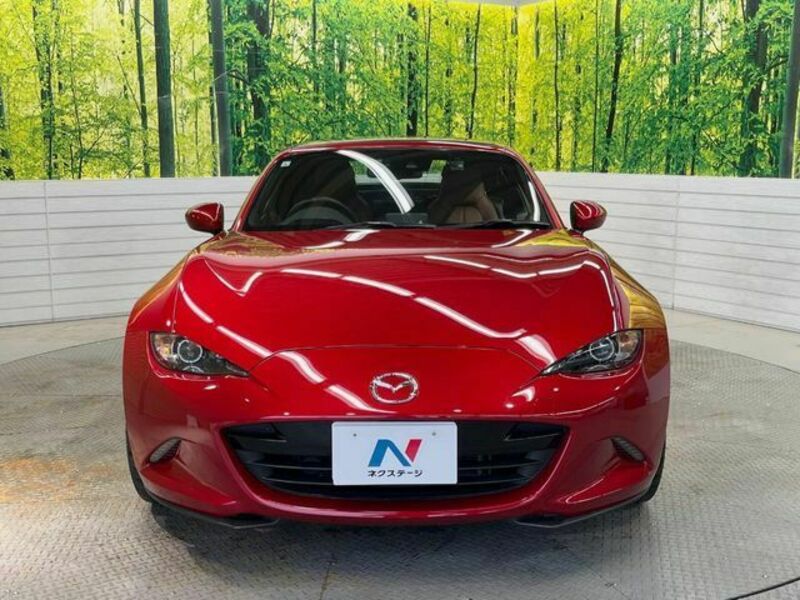 ROADSTER RF