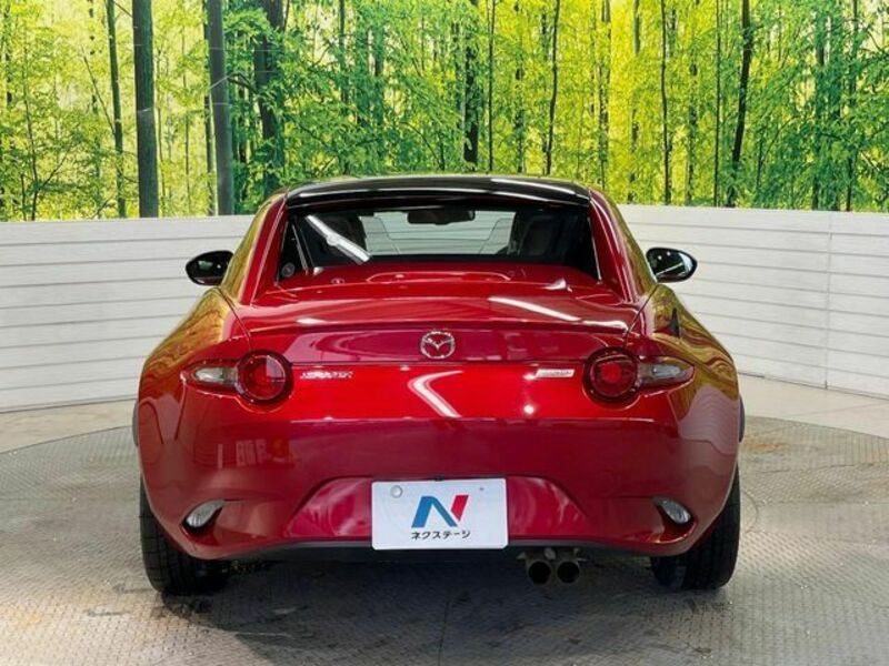 ROADSTER RF