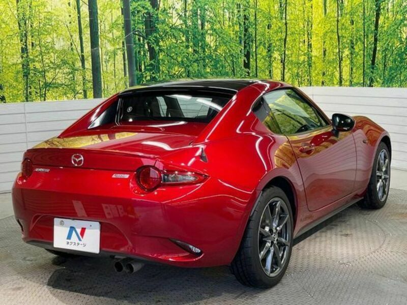 ROADSTER RF