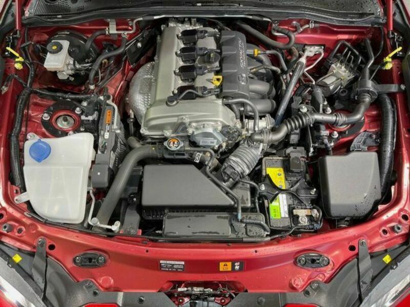 ROADSTER RF