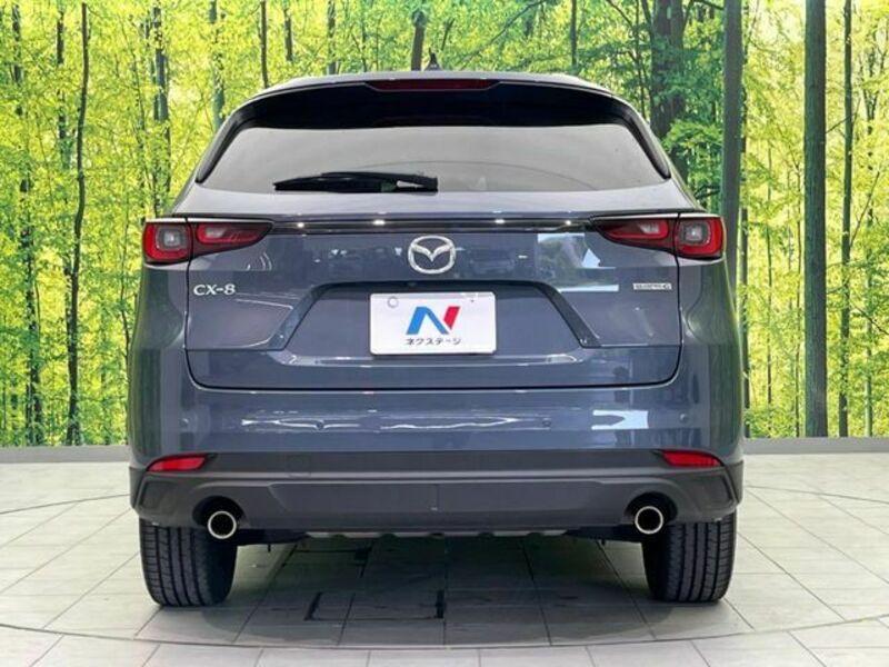 CX-8