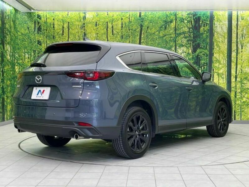 CX-8