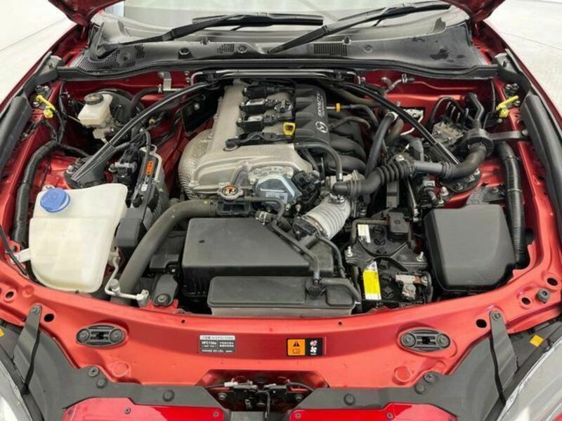 ROADSTER RF