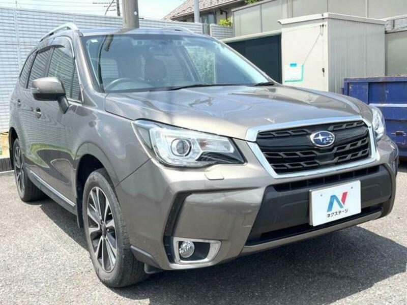FORESTER