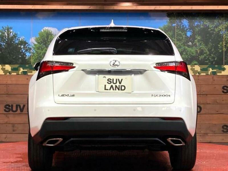 NX