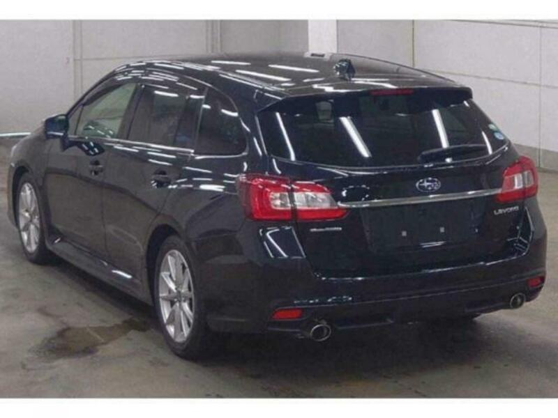 LEVORG