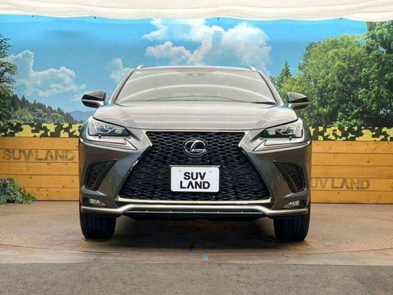 NX