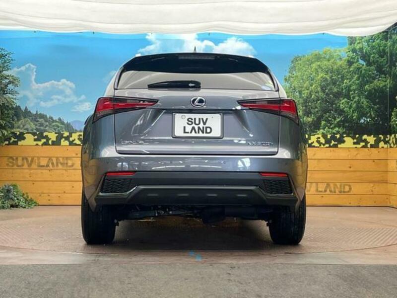 NX