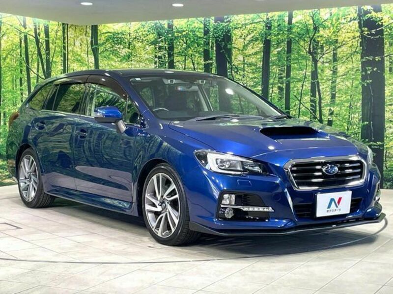 LEVORG