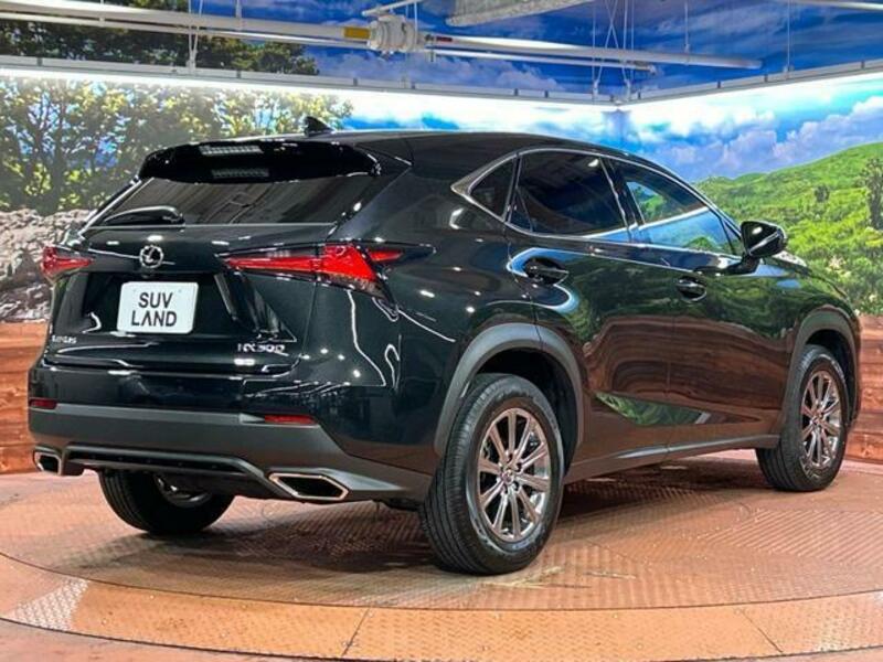 NX