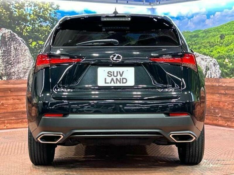 NX