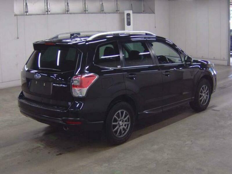 FORESTER
