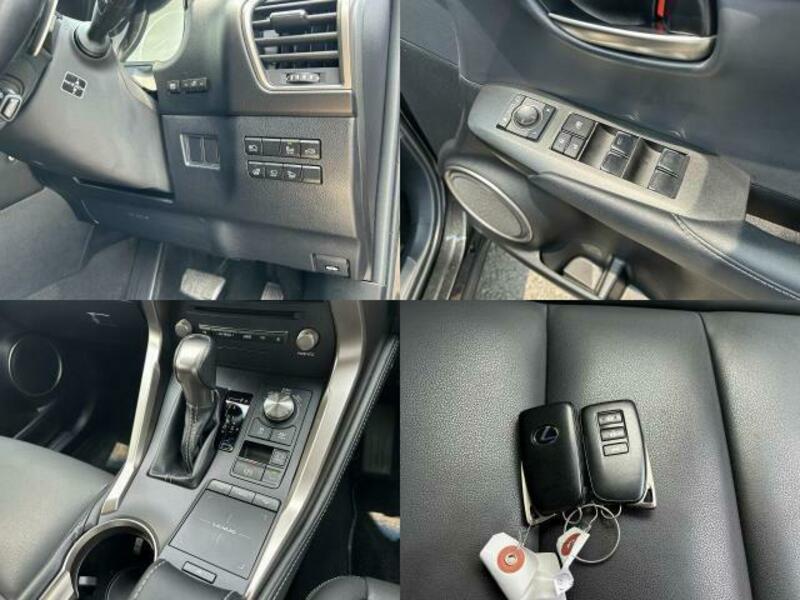 NX