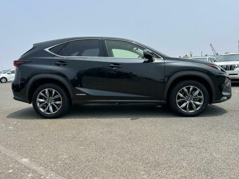 NX
