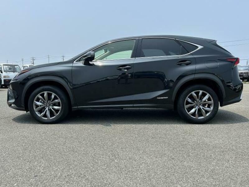 NX