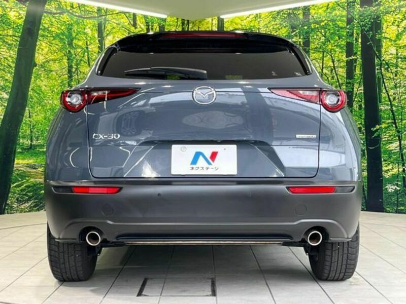 CX-30