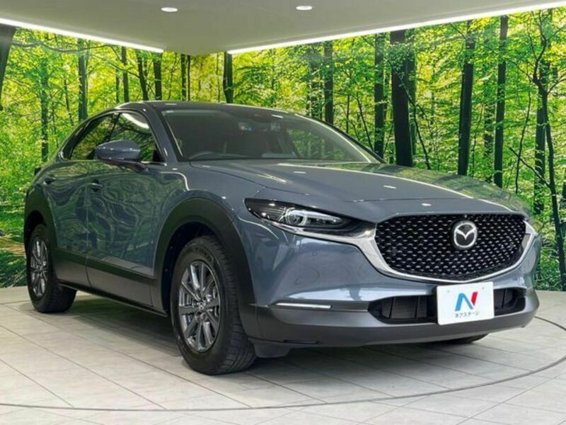CX-30