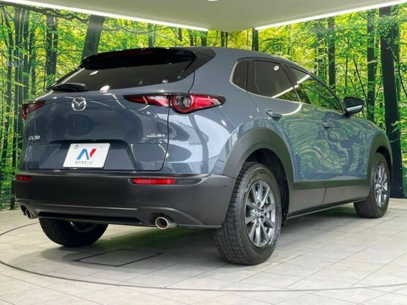 CX-30
