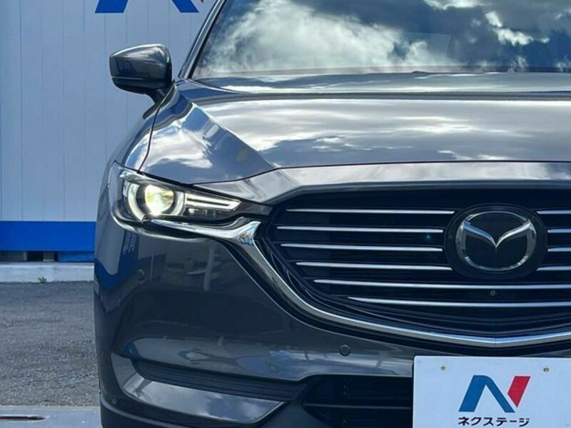 CX-8