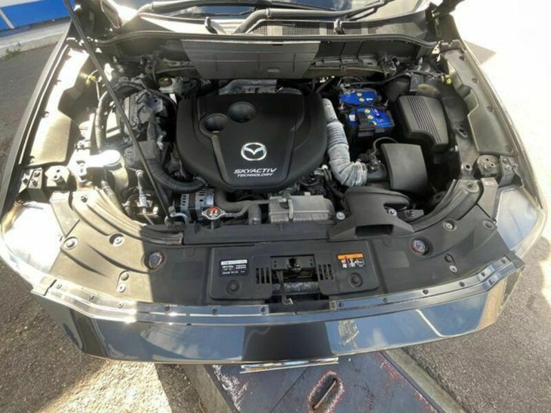 CX-8