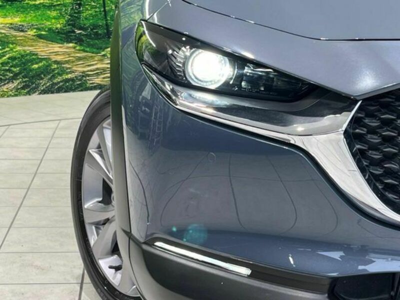 CX-30