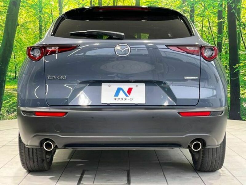 CX-30